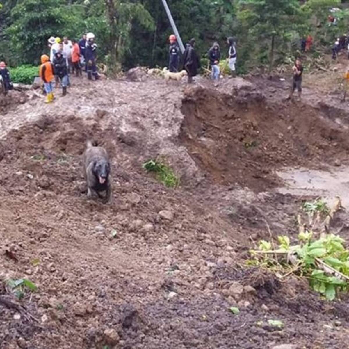 Ya hay fecha estimada para dar paso en la zona del derrumbe en Rosas, Cauca
