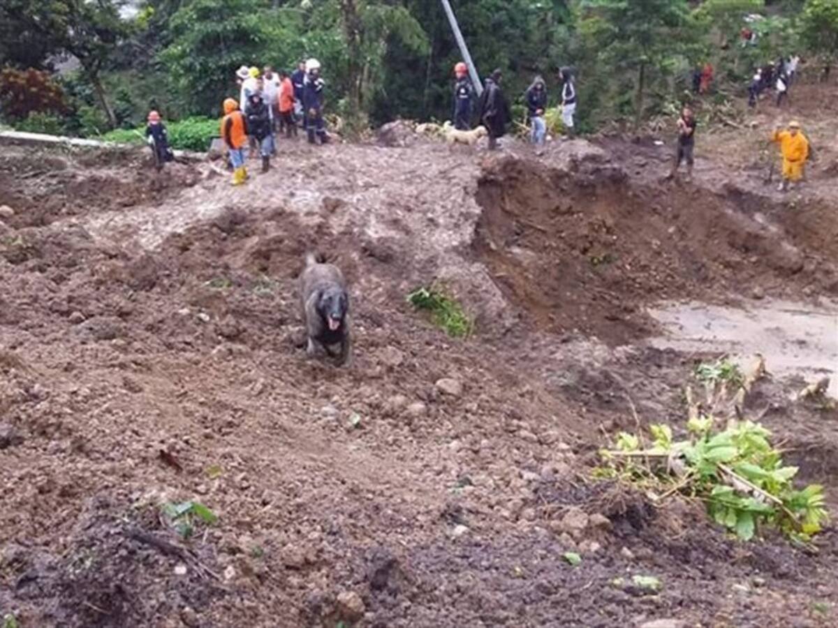 Ya hay fecha estimada para dar paso en la zona del derrumbe en Rosas, Cauca