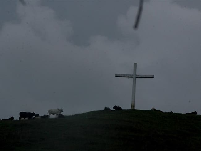 Torturan y asesinan a líder comunitaria en Rosas, Cauca. Foto: Colprensa