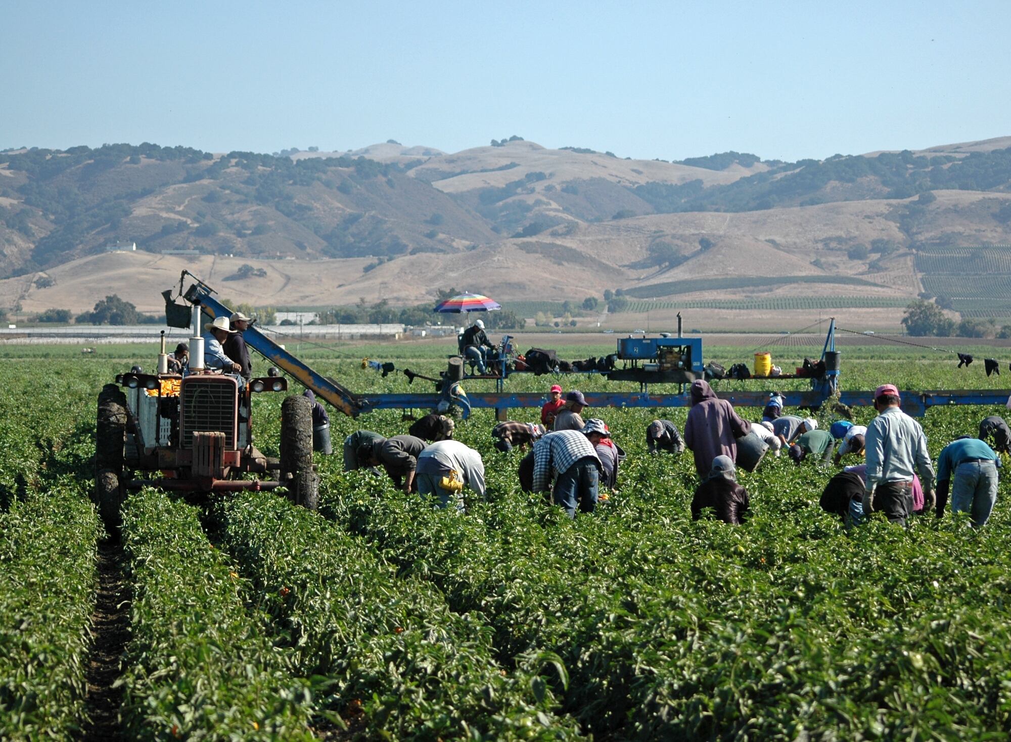 Gremios agrícolas, imagen de referencia | Foto: GettyImages