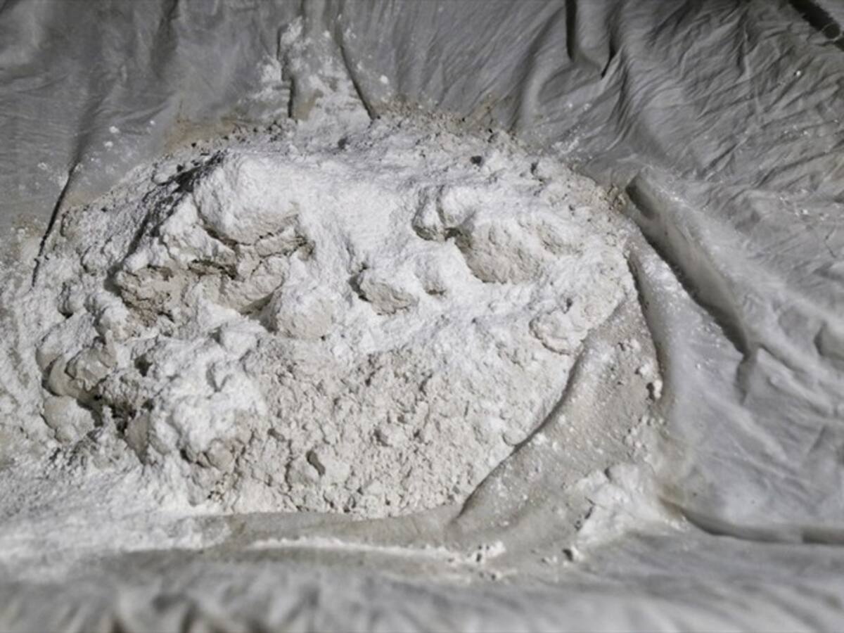 FAC detectó aeronave con cargamento de cocaína procedente de Venezuela