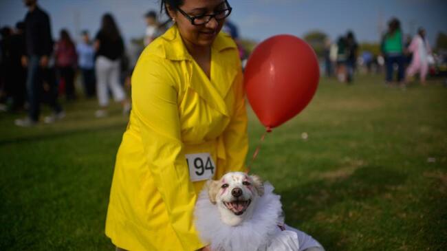 La tendencia de disfrazar a los perros o gatos tiene fans y detractores. ¿Qué dicen los expertos?. Foto: Getty Images