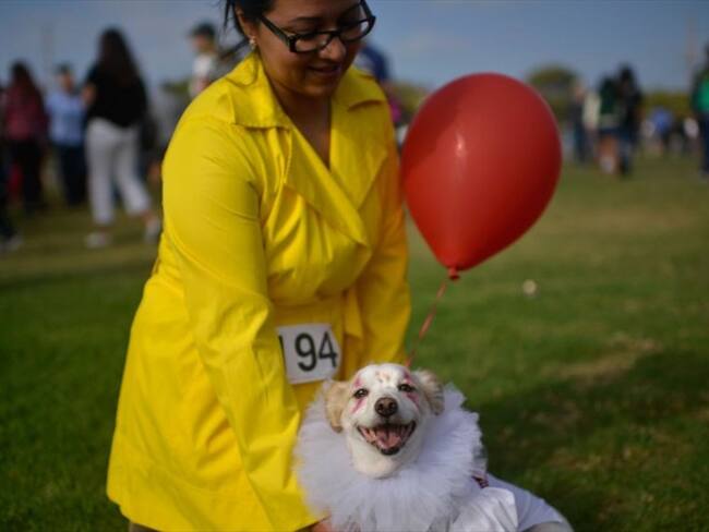 La tendencia de disfrazar a los perros o gatos tiene fans y detractores. ¿Qué dicen los expertos?. Foto: Getty Images