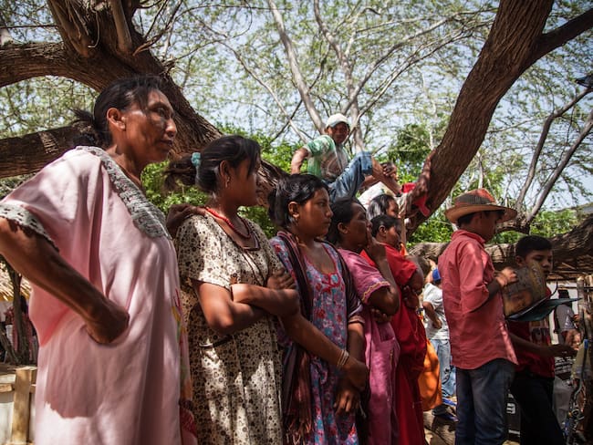 Denuncian corrupción en contrato para la protección de saberes ancestrales en La Guajira
