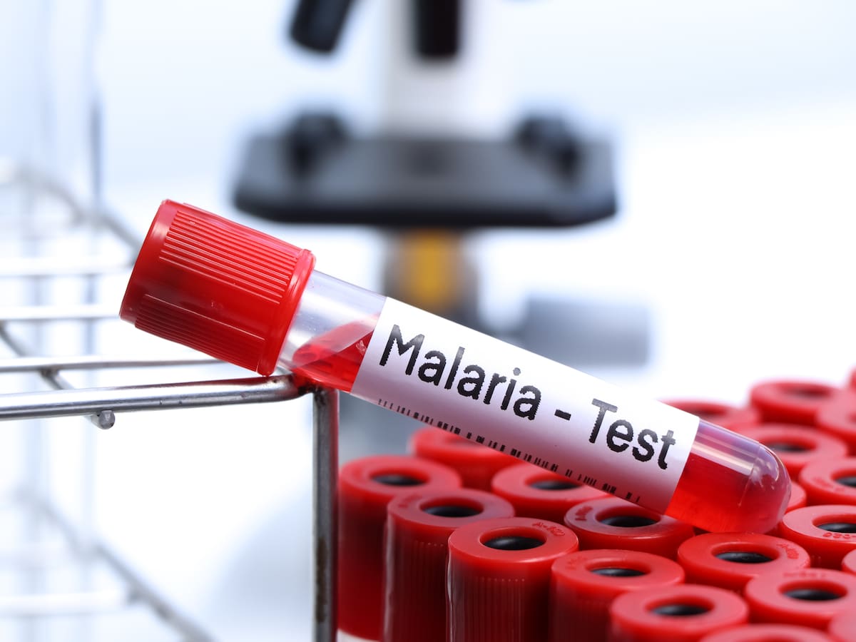 Diferencias entre el dengue y la malaria: síntomas clave