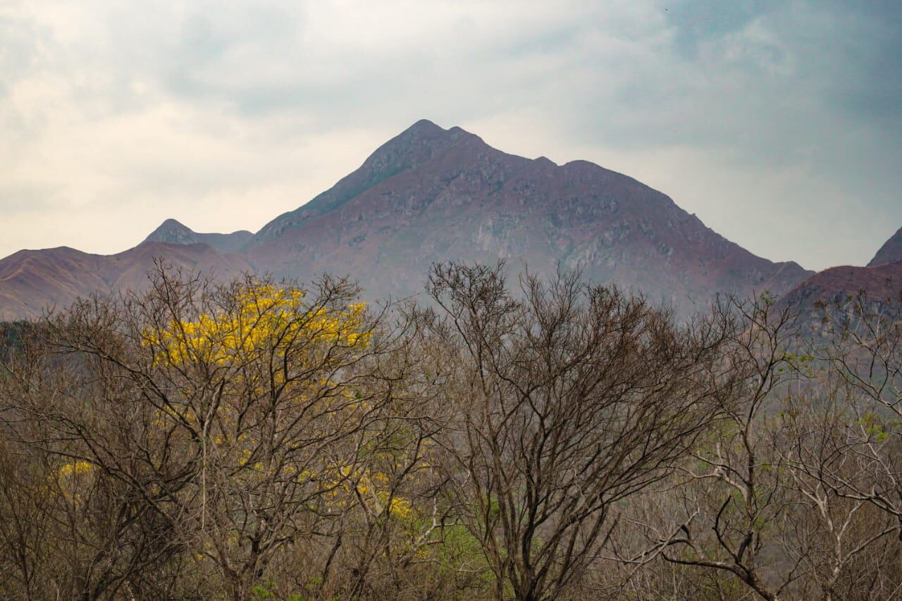 Sierra Nevada de Santa Marta. Foto: MinAmbiente