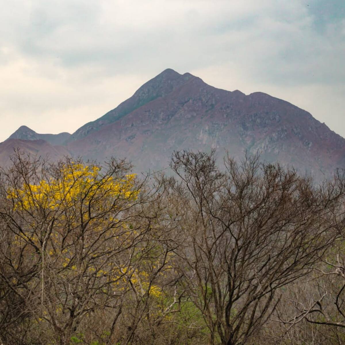 Los desconocidos sitios arqueológicos de la Sierra Nevada de Santa Marta