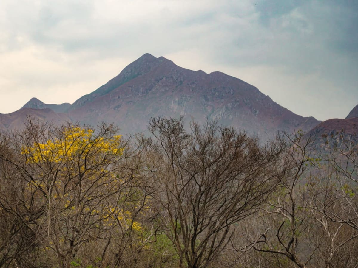 La montaña más alta de Colombia queda en la región Caribe: ¿cuál es?