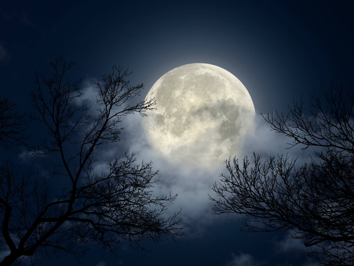 Luna de Nieve en febrero 2025: ¿Cómo verla desde Colombia? Fecha y hora de este fenómeno