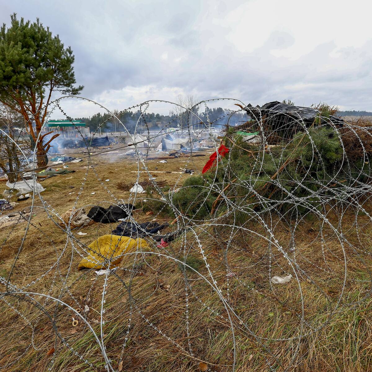 OTAN ofrece su ayuda a los aliados ante crisis migratoria en Bielorrusia y Polonia