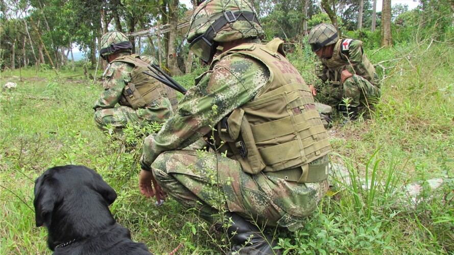 Las confrontaciones entre la Fuerza Pública y grupos al margen de la ley que hacen presencia en este municipio, se presentan entre los sectores de Los Andes y Boquerón. Foto: Colprensa