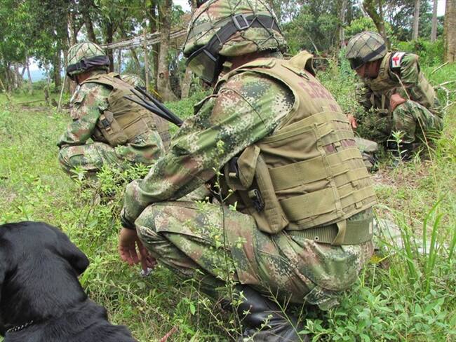 Las confrontaciones entre la Fuerza Pública y grupos al margen de la ley que hacen presencia en este municipio, se presentan entre los sectores de Los Andes y Boquerón. Foto: Colprensa