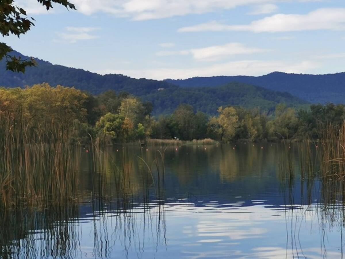 Secretaría de Ambiente de Bogotá habilita el ingreso a 13 humedales