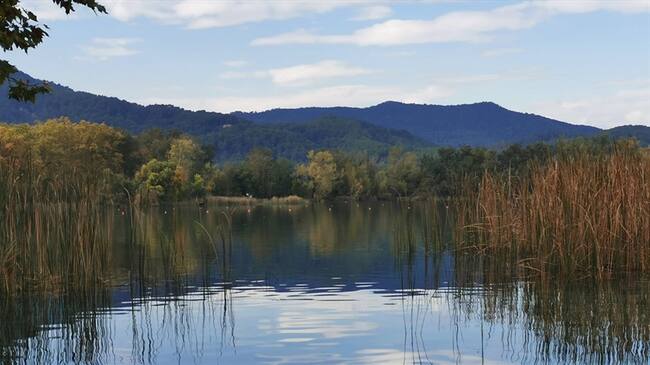 La Secretaría de Ambiente de Bogotá anunció que a partir de este martes, 13 humedales estarán habilitados para el ingreso gratuito de los ciudadanos. Foto: Getty Images / MARC EXPOSITO BARROSO