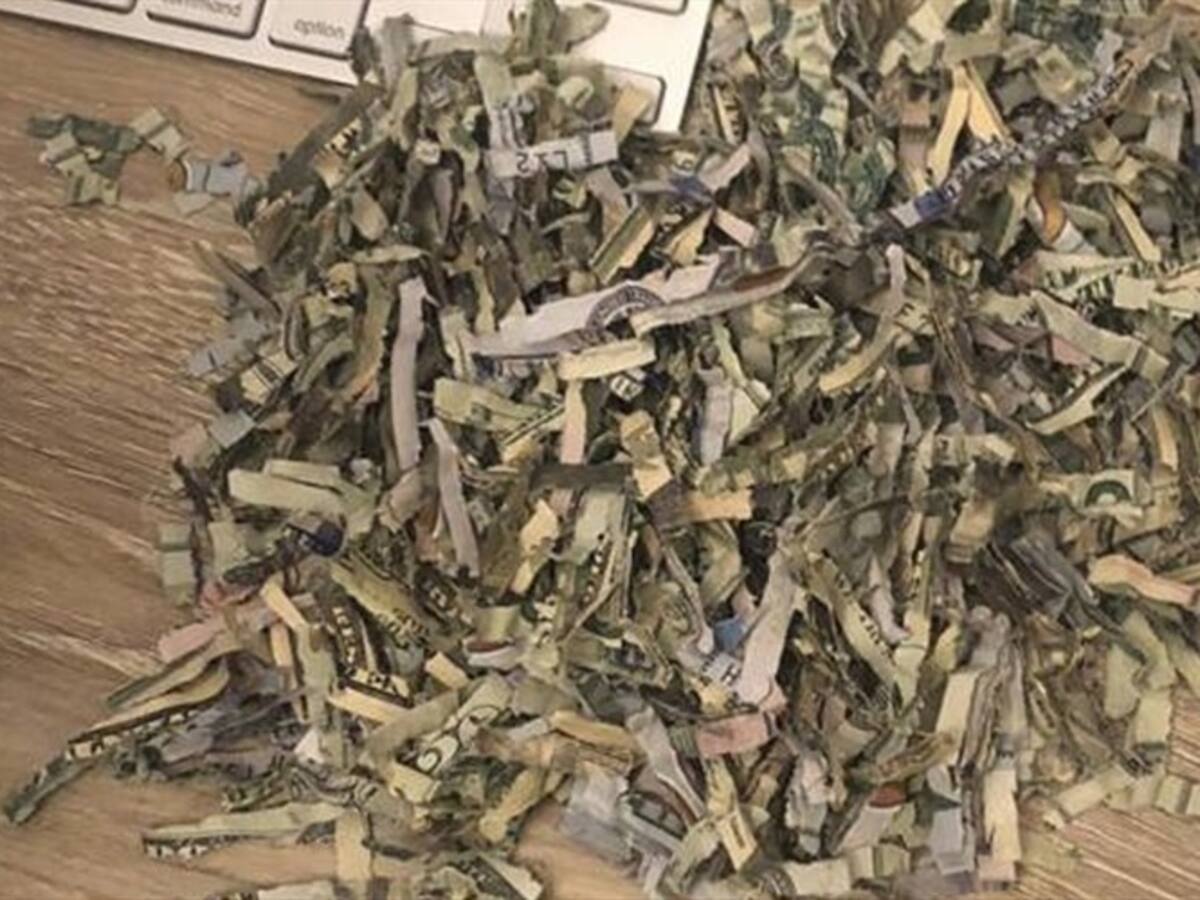 Niño metió en trituradora de papel los ahorros de sus padres