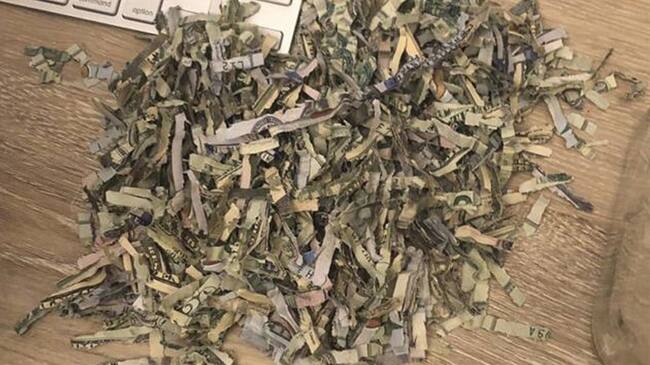 Niño metió en trituradora de papel los ahorros de sus padres. Foto: Twitter