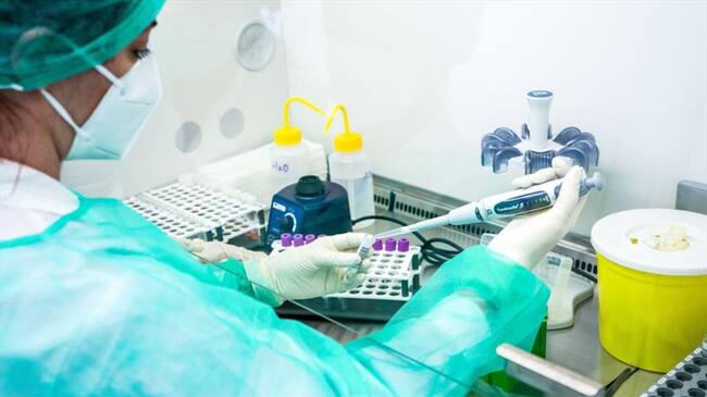 De acuerdo con una análisis de la Universidad del Rosario el primer linaje del virus habría venido de Francia.. Foto: Getty Images