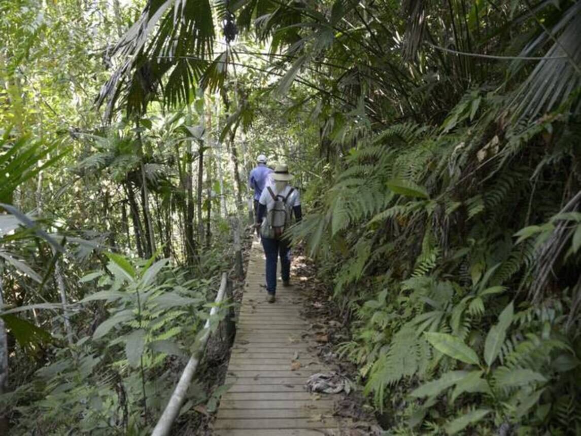 Bosque Seco Tropical Guásimo, Risaralda / Foto: Carder