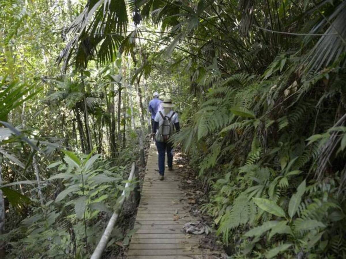 Aumentan invasiones ilegales en zona del bosque seco tropical Guásimo en Risaralda
