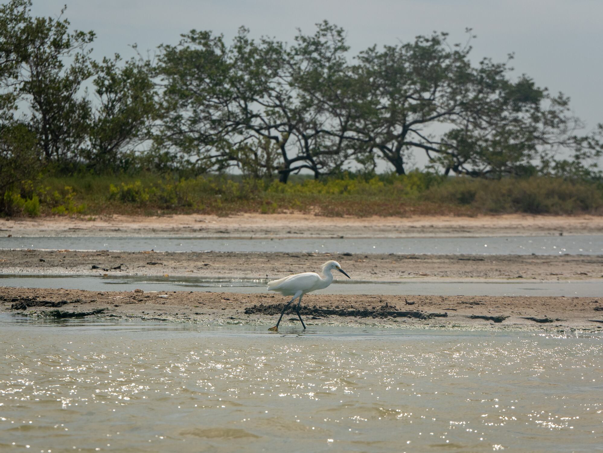 La Guajira, Colombia. Foto: GettyImages