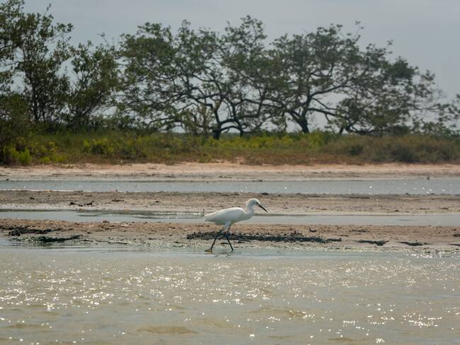 La Guajira, Colombia. Foto: GettyImages
