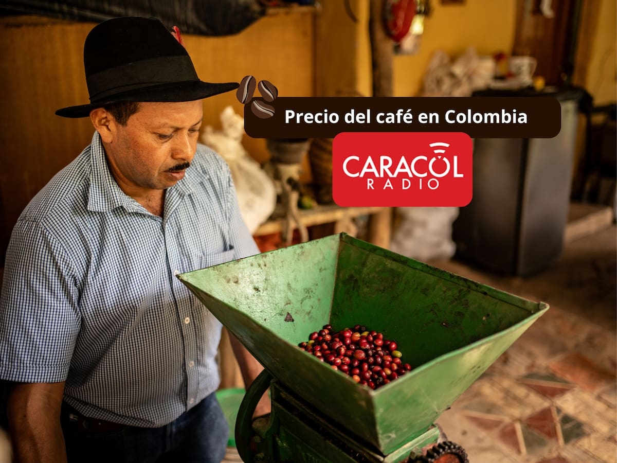 Precio del café en Colombia HOY 3 de marzo según la FNC: Leve aumento durante la semana
