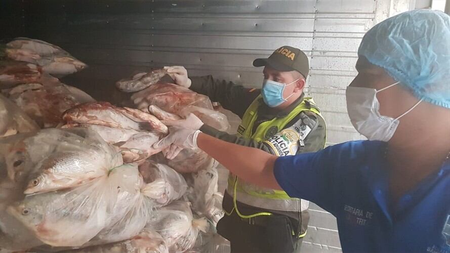 25 toneladas de pescado fueron entregados gratis en las calles de Santa Marta. Foto: Cortesía