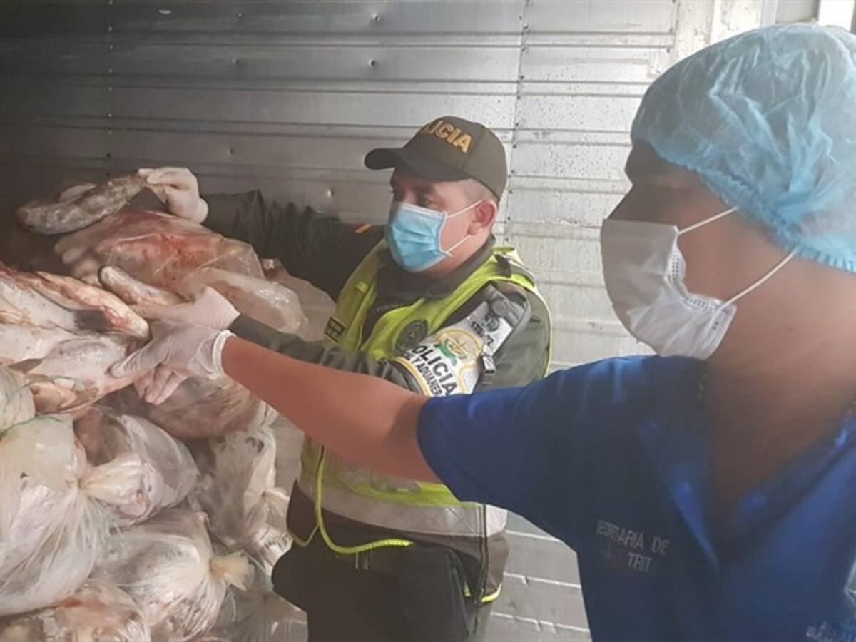 25 toneladas de pescado fueron regalados en las calles de Santa Marta