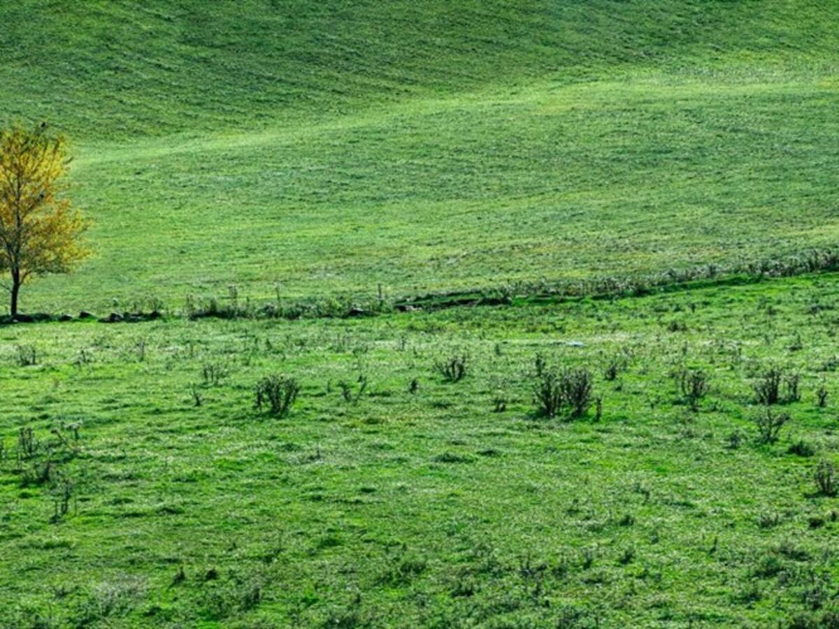 ¿Qué hacer para poder obtener el predio más caro de la Nación?