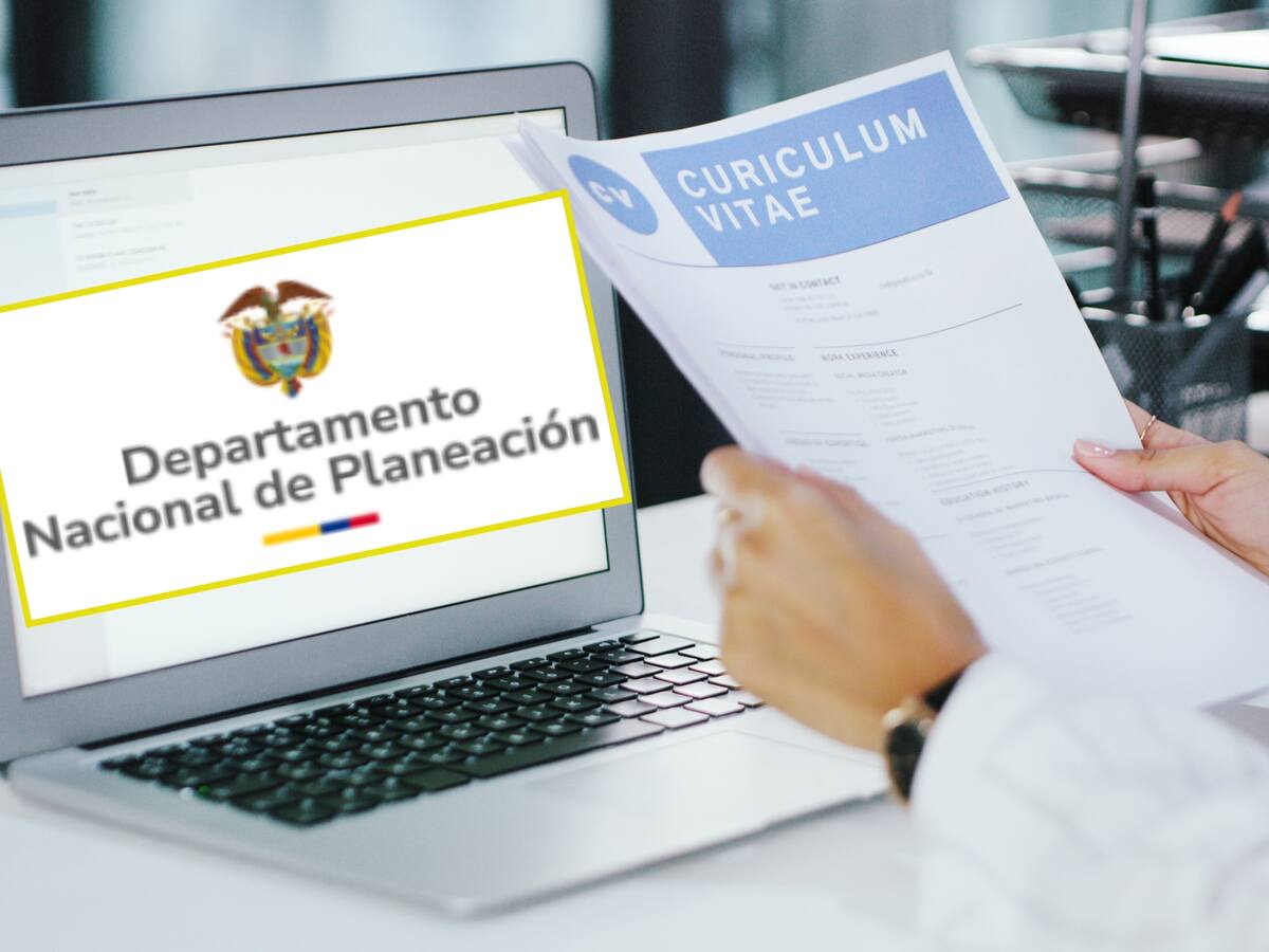 El DNP abrió convocatoria para contratar profesionales y tecnólogos, ¿cómo aplicar? PDF completo