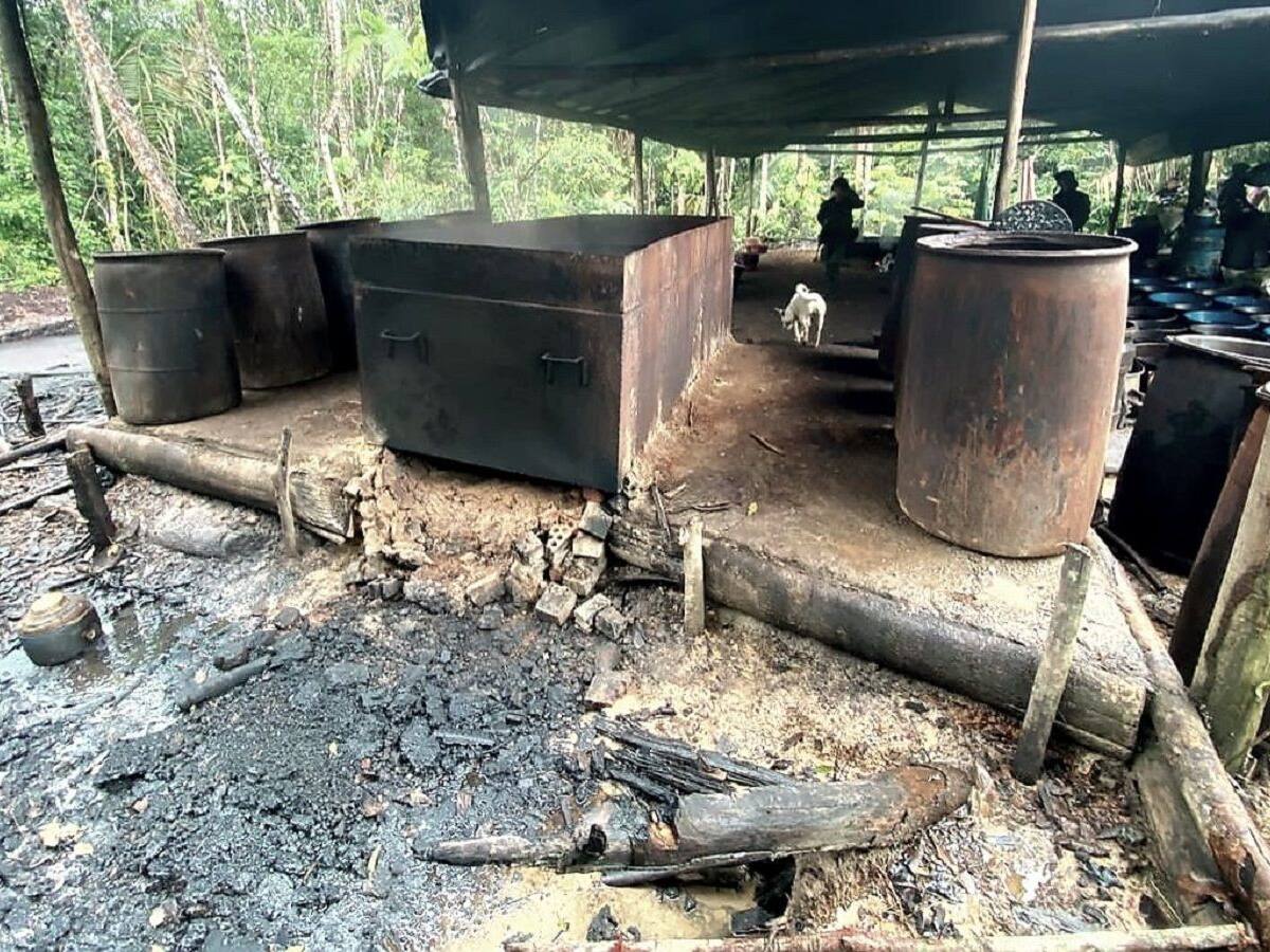 Ejército desmanteló estructuras para procesar estupefacientes en Norte de Santander