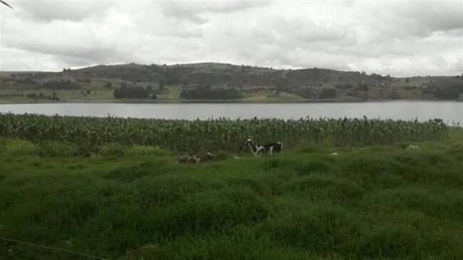 Anuncian recursos para saneamiento fiscal de ocho hospitales públicos de Boyacá. Foto: La W