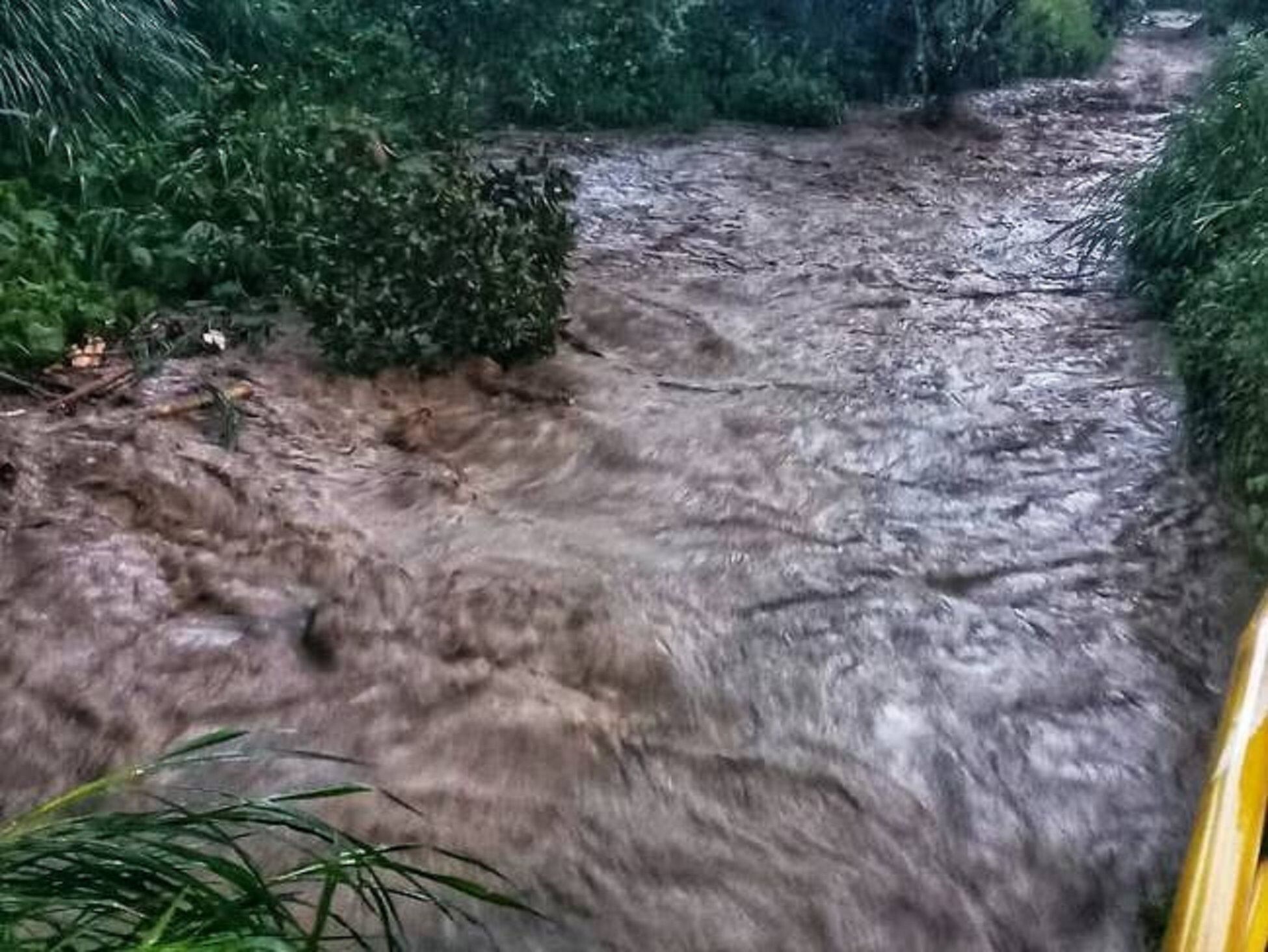 El niño de 12 años intentaba cruzar la quebrada a lomo de mula. Foto: Cortesía.