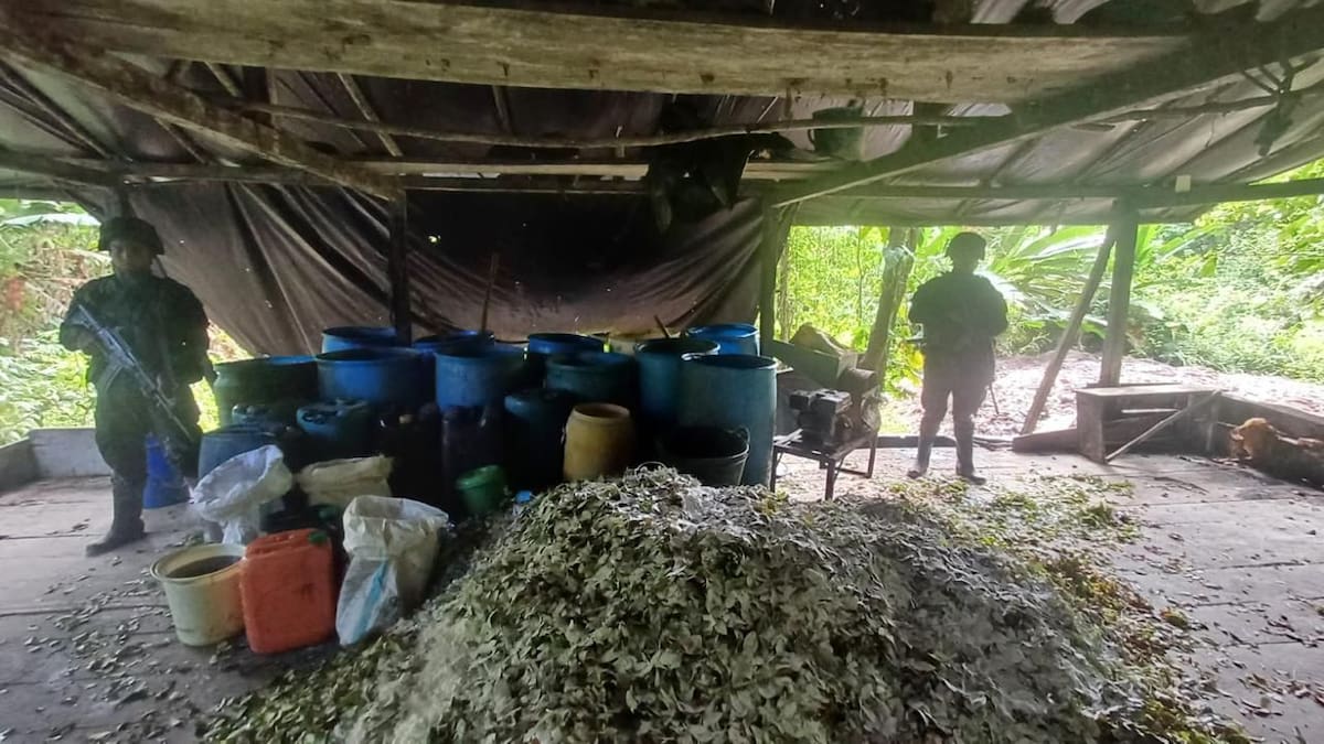 FF.MM. neutralizaron 4 laboratorios que producían más de 6 toneladas de droga en el Cauca