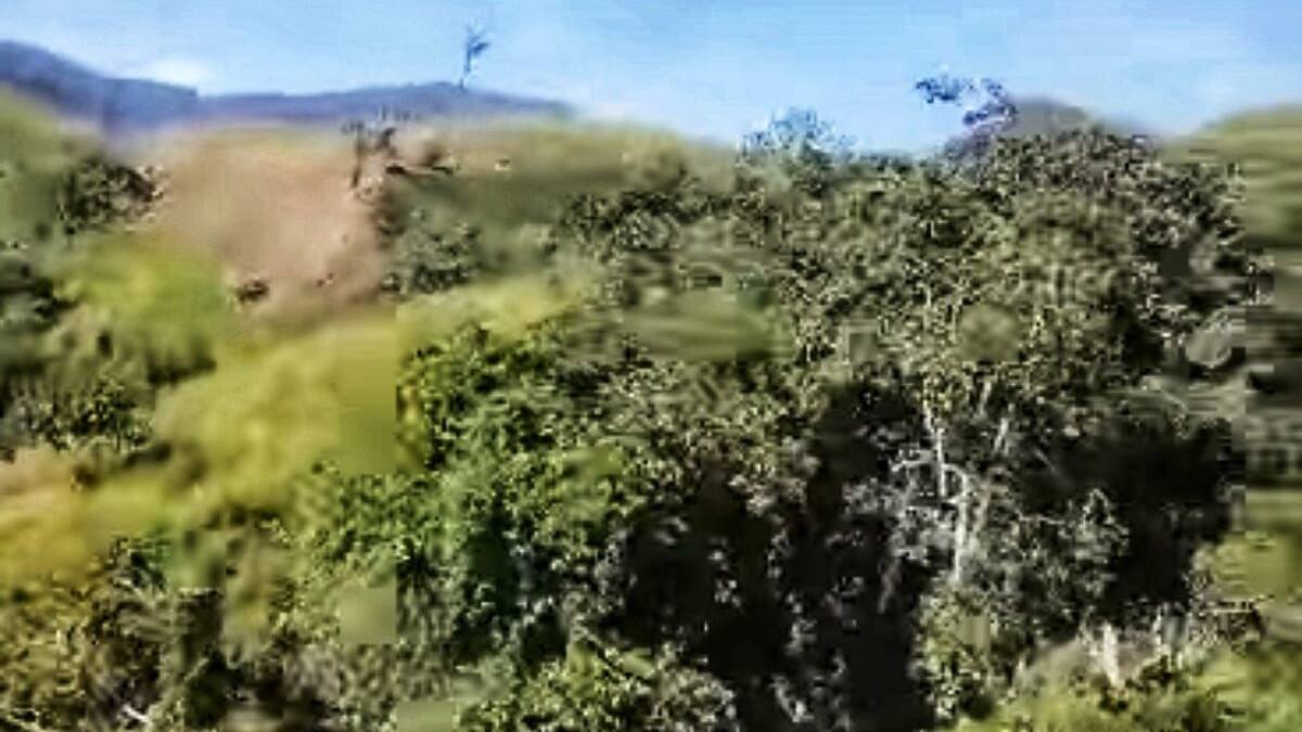 Dos militares heridos en ataques armados en el Cauca