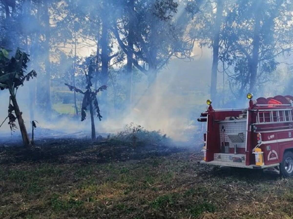En Calima, Valle Del Cauca, capacitan a la comunidad para evitar quemas