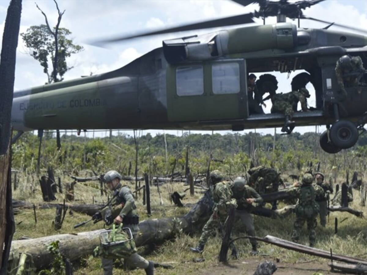FFMM recuperan más de 1.500 hectáreas de Bosque deforestadas en el Chiribiquete