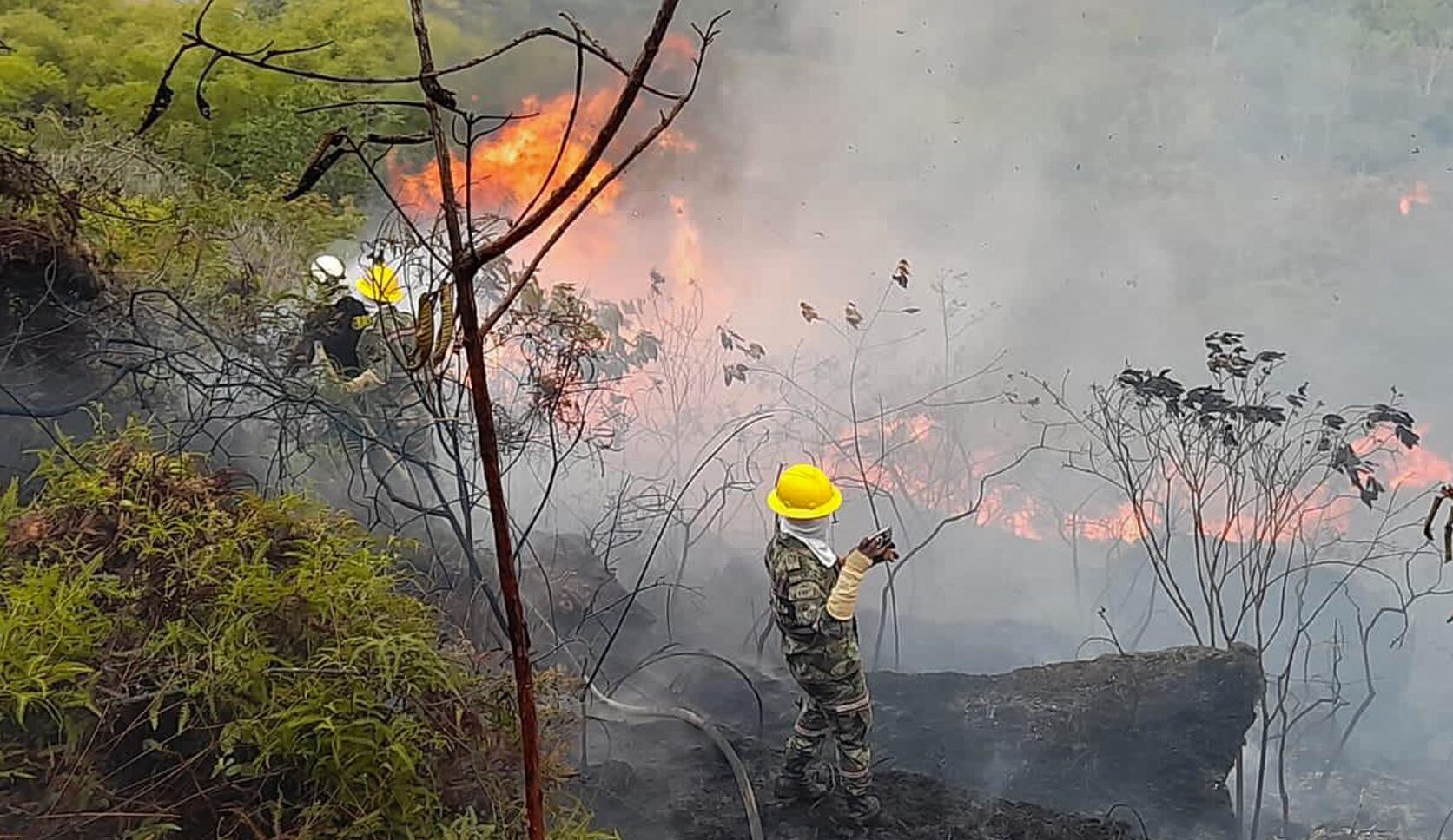 AME1218. BUCARAMANGA (COLOMBIA), 21/01/2024.- Fotografía cedida por el Ejército de Colombia de miembros del Ejército trabajando para apagar un incendio, hoy en Bucaramanga (Colombia). Varios incendios forestales han destruido más de 300 hectáreas de bosques en el departamento colombiano de Santander (este), donde once municipios fueron declarados en calamidad pública por desabastecimiento de agua potable, sequía e intenso calor, todos asociados al fenómeno de El Niño. Los incendios, que comenzaron hace tres días, no han dejado por el momento muertos o heridos, según las autoridades. EFE/ Ejército De Colombia SOLO USO EDITORIAL/NO VENTAS/SOLO DISPONIBLE PARA ILUSTRAR LA NOTICIA QUE ACOMPAÑA/CRÉDITO OBLIGATORIO