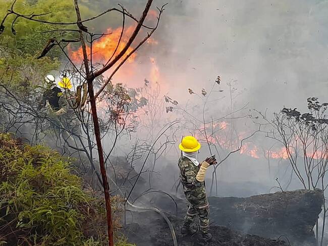 AME1218. BUCARAMANGA (COLOMBIA), 21/01/2024.- Fotografía cedida por el Ejército de Colombia de miembros del Ejército trabajando para apagar un incendio, hoy en Bucaramanga (Colombia). Varios incendios forestales han destruido más de 300 hectáreas de bosques en el departamento colombiano de Santander (este), donde once municipios fueron declarados en calamidad pública por desabastecimiento de agua potable, sequía e intenso calor, todos asociados al fenómeno de El Niño. Los incendios, que comenzaron hace tres días, no han dejado por el momento muertos o heridos, según las autoridades. EFE/ Ejército De Colombia SOLO USO EDITORIAL/NO VENTAS/SOLO DISPONIBLE PARA ILUSTRAR LA NOTICIA QUE ACOMPAÑA/CRÉDITO OBLIGATORIO