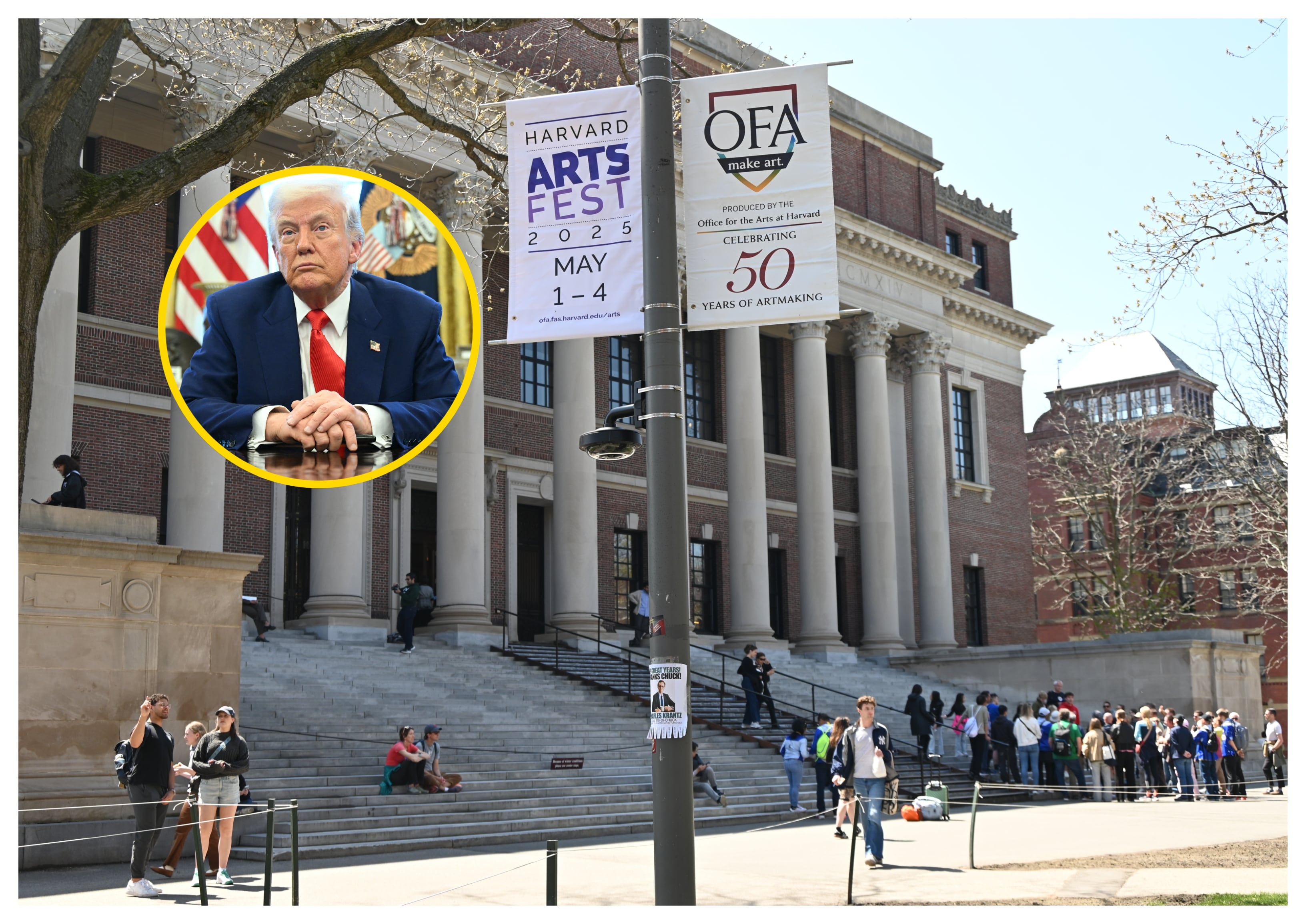 Harvard y Donald Trump. Foto: Kyle Mazza/Anadolu y SAUL LOEB / AFP via Getty Images.