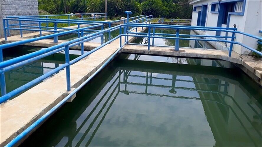 Imagen de referencia. Foto: Colprensa. Foto: