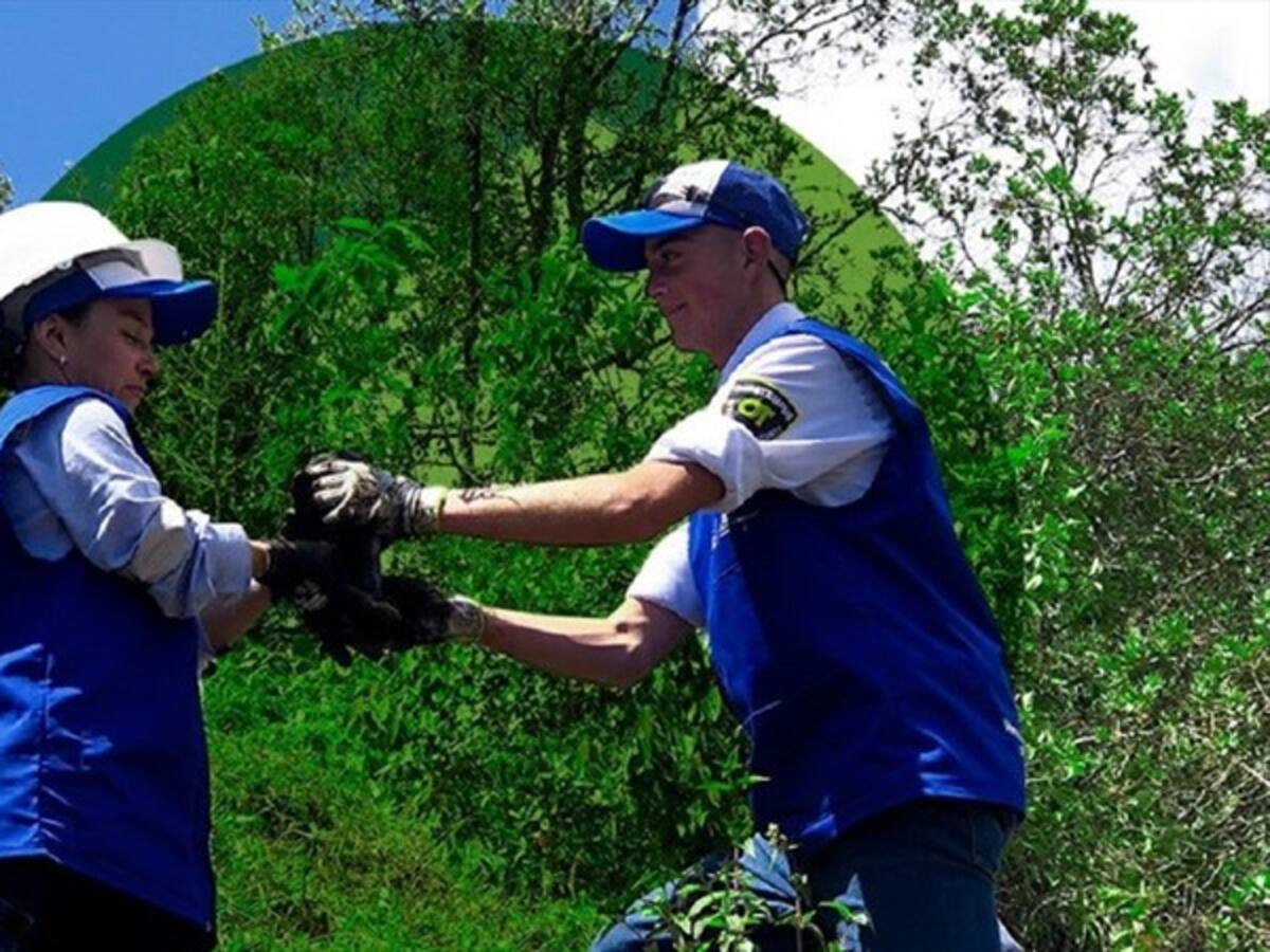 Procesos sostenibles con el medio ambiente, un compromiso de AngloGold