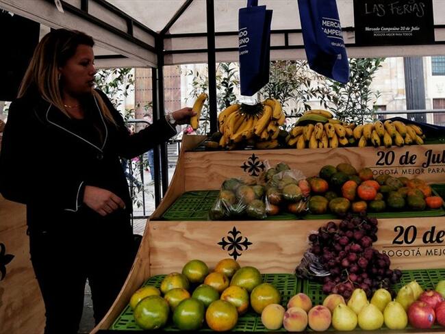 Francisco José Mejía, presidente del Banco Agrario de Colombia aseguró que esta semana desembolsarán 2 mil millones de pesos en prestamos.. Foto: Colprensa