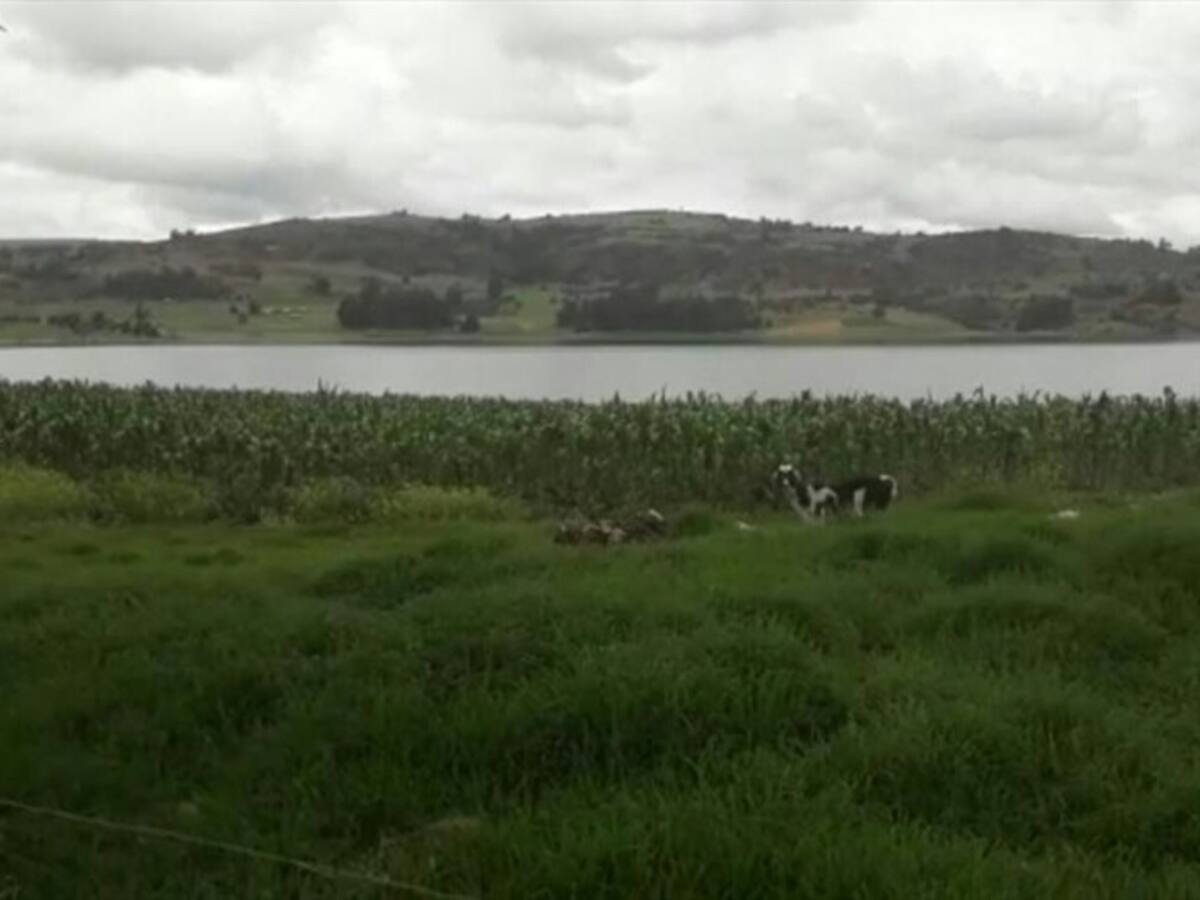 Interpondrán incidencia de desacato a MinAgricultura en Toca, Boyacá