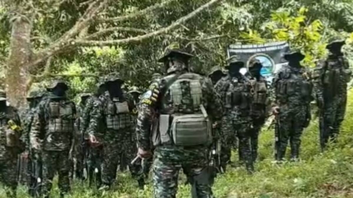 Alcaldía se pronuncia por homenaje a líder paramilitar en zona rural de Santa Marta