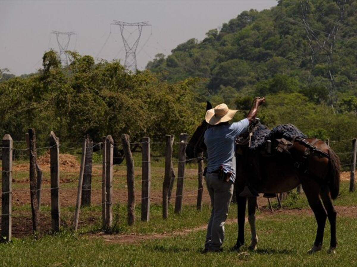 Las quemas pueden afectar la transmisión de energía eléctrica