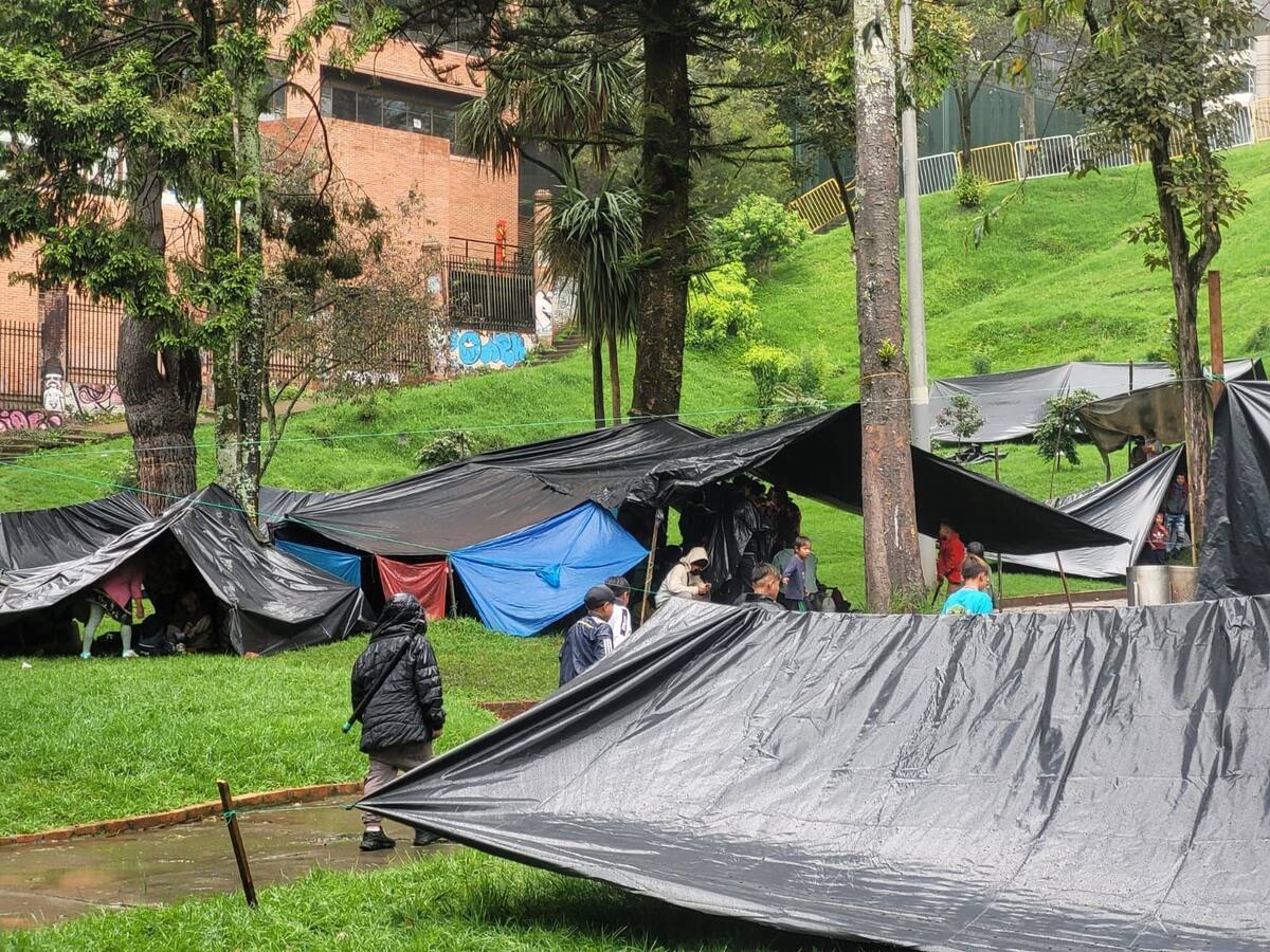 “No permitiremos asentamiento de indígenas en el Parque Nacional, hay niños en peligro”: Alcaldía