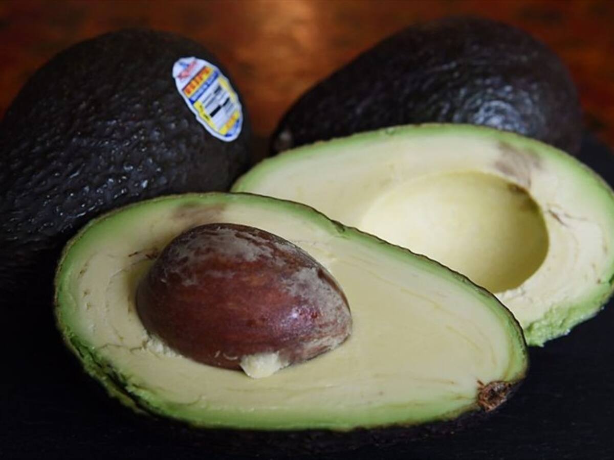 Colombia exportará a China los primeros contenedores de aguacate tipo hass