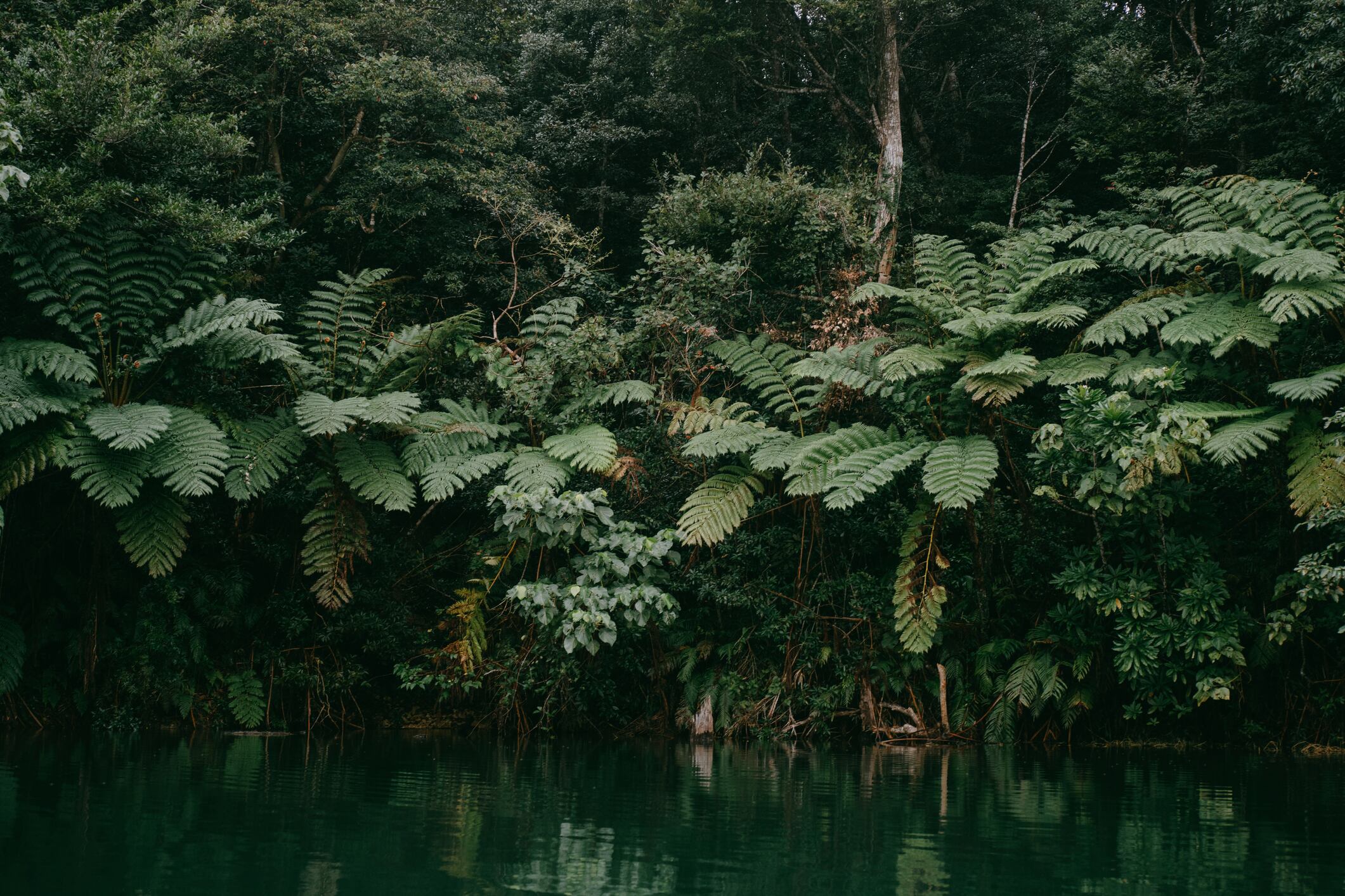 Imagen de referencia. Foto: Getty Images