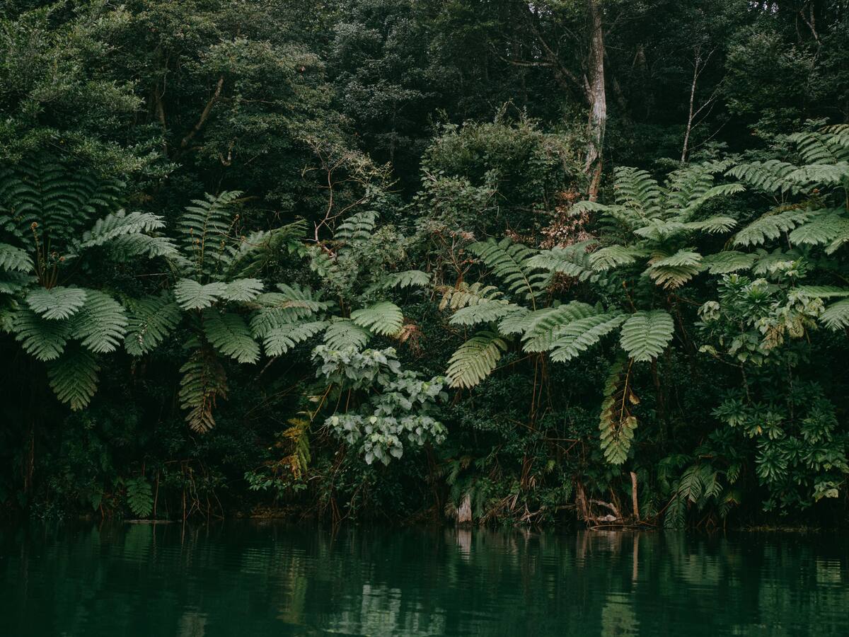 Recuperan cadáver de desaparecido que estaba al borde de que se lo llevara el río